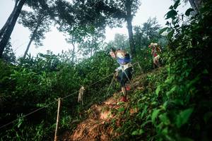 BIB: 
                            <button type="button" onclick="openModal(26203200)" class="btn btn-primary btn-sm float-right btn-popup" data-toggle="modal" data-target=".modal-high-quality">
                        <i class="fas fa-shopping-cart"></i> Add to Cart
                    </button>
                                            <button type="button" onclick="isThisMe(26203200, true)" class="btn btn-success btn-sm float-right btn-popup btn-isme hidden" data-toggle="tooltip" data-placement="bottom" title="นี่คือรูปของคุณใช่ไหม คลิกที่นี่เพื่อเอาเข้าอัลบั้ม">
                        <i class="fas fa-plus"></i> Add to album
                    </button>
                    <button type="button" onclick="isThisMe(26203200, false)" class="btn btn-warning btn-sm float-right btn-popup btn-isnotme hidden">
                        <i class="fas fa-ban"></i> Remove from album
                    </button>